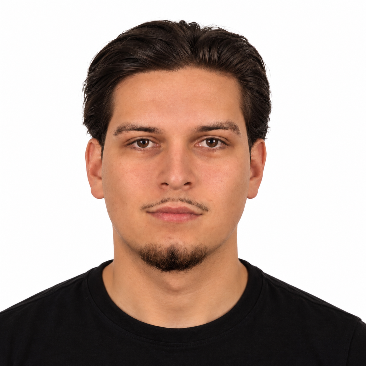 Vincent schneider